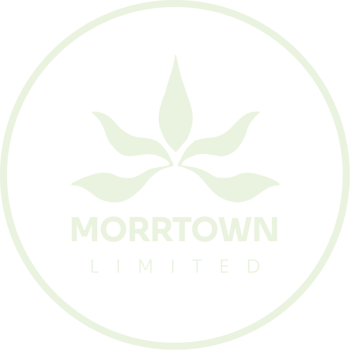 MORRTOWN